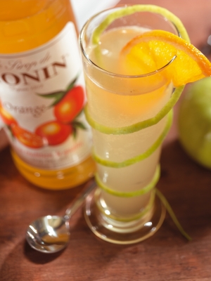 MONIN Orange syrup ambiant